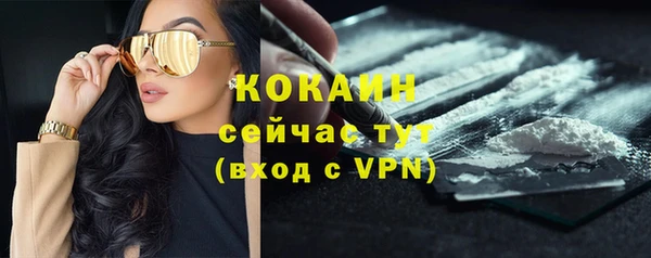 a pvp Инта