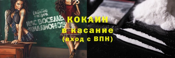 ПСИЛОЦИБИНОВЫЕ ГРИБЫ Инсар