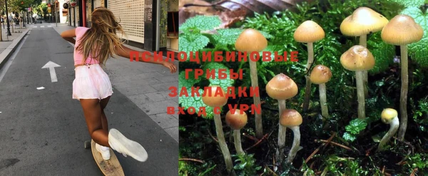 хмурый Зерноград