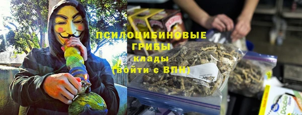 a pvp Инта
