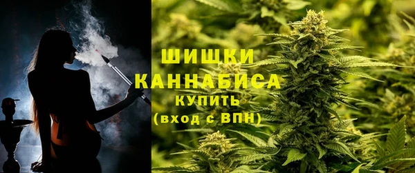 ПСИЛОЦИБИНОВЫЕ ГРИБЫ Инсар
