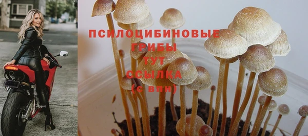 Альфа ПВП Иннополис