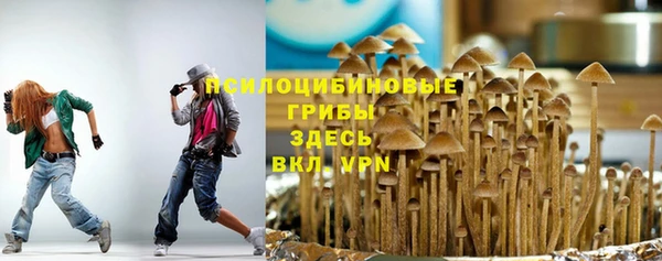 a pvp Инта