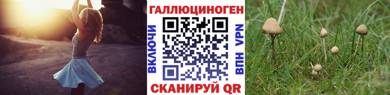 Псилоцибиновые грибы Cubensis Семёнов