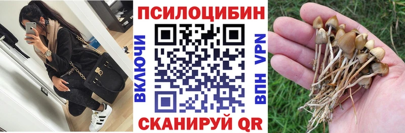 Псилоцибиновые грибы мицелий  сайты даркнета официальный сайт  Семёнов 